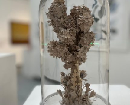 Yüz Hektar Ormanı / Hundred Hectare Forest