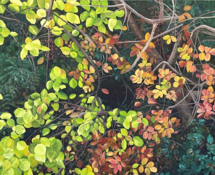 Birlikte Varoluş / Co-existence