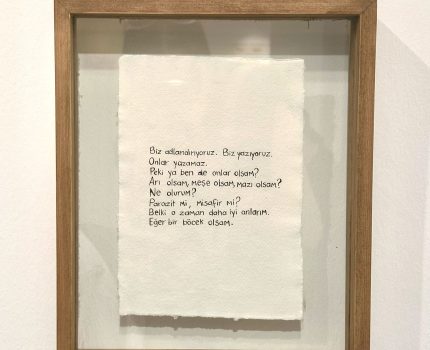 Nesiller Arası / Inter-lineage