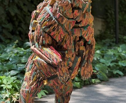 Habitat Serisi – Şehre İnen Ayı / Habitat Series – Bear in Town