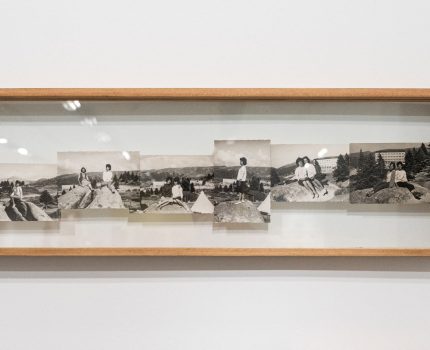 Nesiller Arası / Inter-lineage