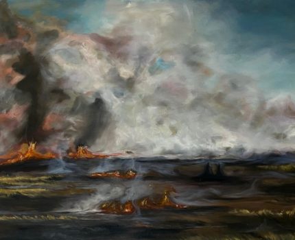 ANIZ / Stubble Burning