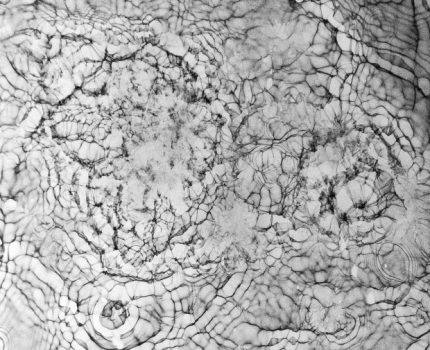 Su Anlatıları / Water Narratives