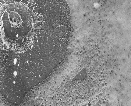 Su Anlatıları / Water Narratives