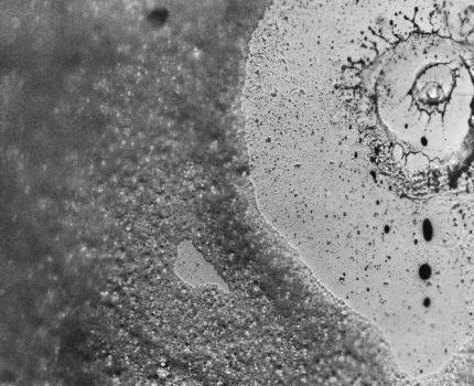 Su Anlatıları / Water Narratives