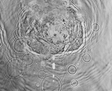 Su Anlatıları / Water Narratives