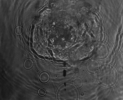 Su Anlatıları / Water Narratives