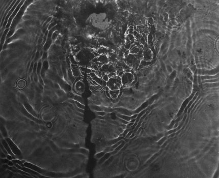 Su Anlatıları / Water Narratives