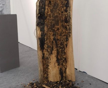 Silüetin Hafızası / Memory of the Silhouette