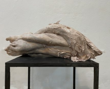 Tenin yerine / Instead of Skin