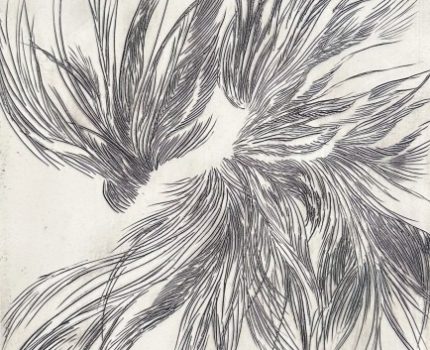 Boşluğun Bitki Örtüsü / Flora of the Void