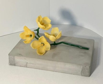 Bir Anın Sessizliği / The Silence of a Moment