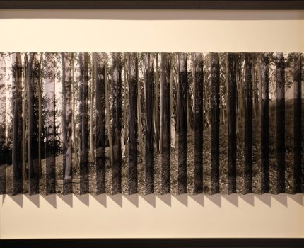 Saklambaç Serisi / Hide and Seek Series