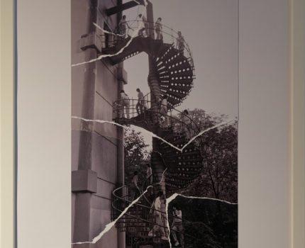 Saklambaç Serisi / Hide and Seek Series