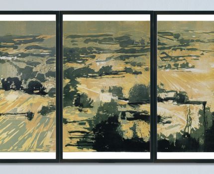 Donmuş Hafıza / Frozen Memory