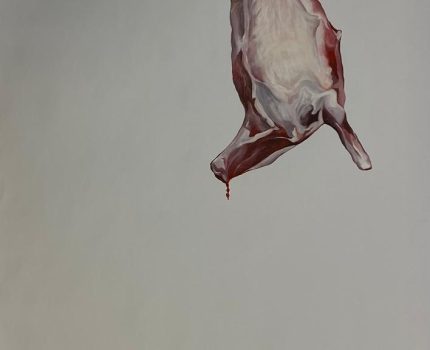 BEYAZ YÜZEY / White Surface