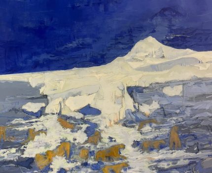 Burada Yaşayabilir misiniz? / Can You Live Here?