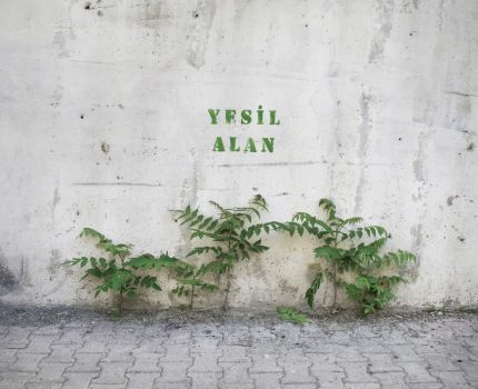 Yeşil Alan / Green Space