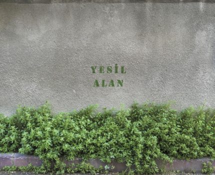 Yeşil Alan / Green Space