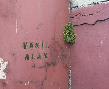Yeşil Alan / Green Space