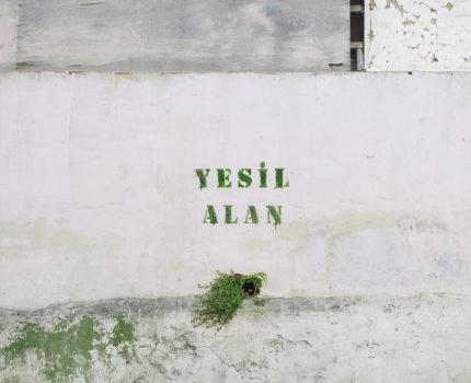 Yeşil Alan / Green Space