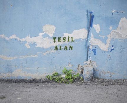 Yeşil Alan / Green Space