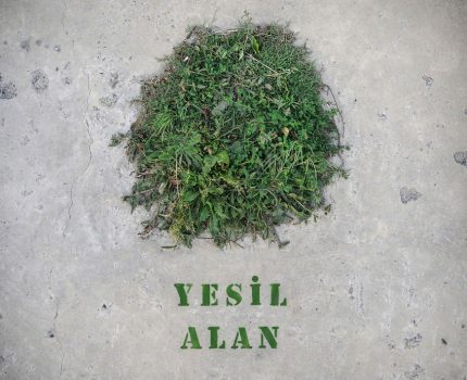 Yeşil Alan / Green Space