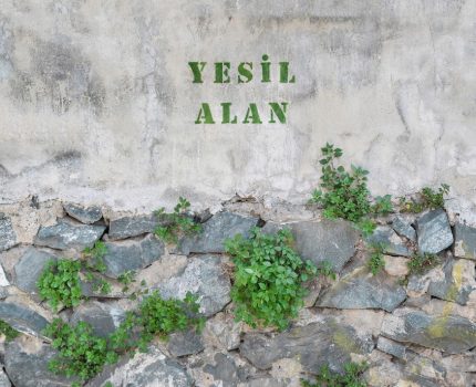 Yeşil Alan / Green Space