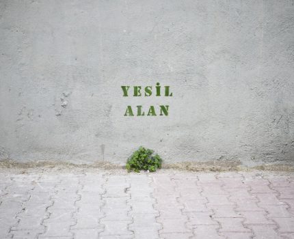 Yeşil Alan / Green Space