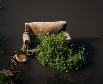 Her Şey Yerli Yerinde / Everything Is In Its Place