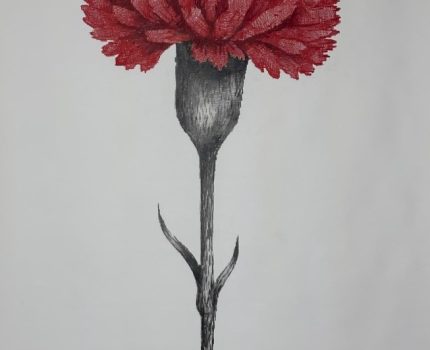 Cumartesi Anneleri / Saturday Mothers