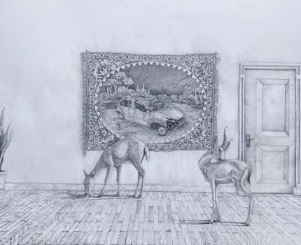 İsimsiz  / Untitled