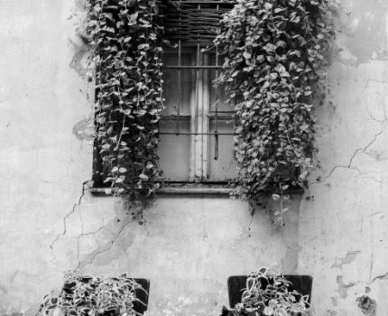 Biz Aslında Serisi / We Actually Series