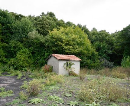 Ateş, Kül ve Duman / Fire, Ash and Smoke