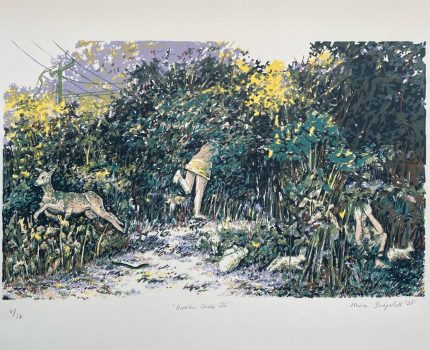 Habitus Serisi / Habitus Series