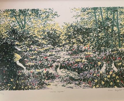 Habitus Serisi / Habitus Series