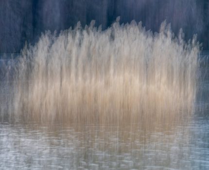 Varla Yok Arasında / Between Presence And Absence