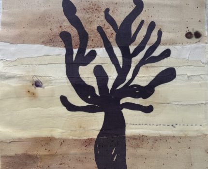 Mor İncir / Purple Fig