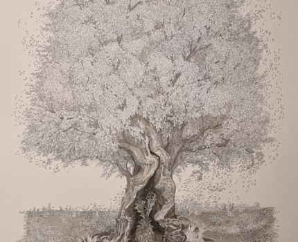 “Kutsal Ağaçlar” Serisi / “Sacred Trees” Series