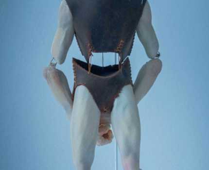 Melez Sürü / Hybrid Herd I