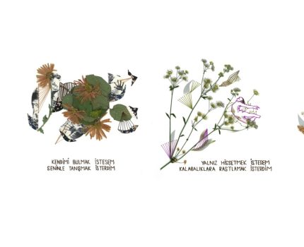 “İsterdim” Serisi / “I Would Like to” Series