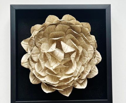 Yaşam ve Zamansızlık / Life and Timelessness