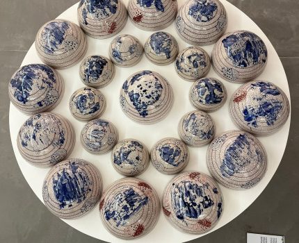 Omurgasızlar / Invertebrates