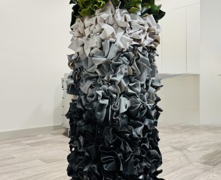 Yeni Dünya / New World