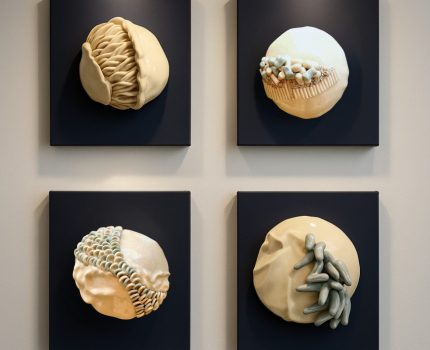 Topoğrafyanın İzleri / Traces Of Topography