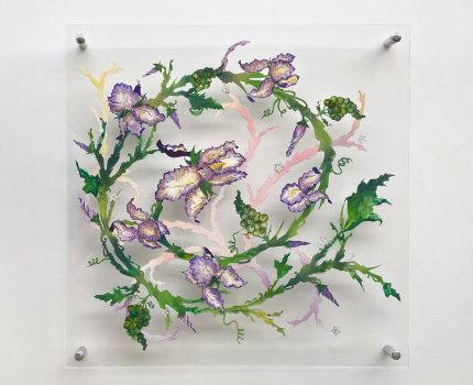 Vitalità Serisi: Primavera / Vitalità Series: Primavera