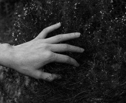 Bahara Çağrı / Call to Spring